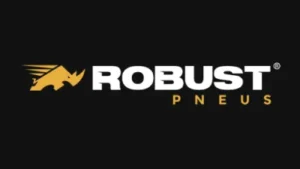 10_robust_1x.webp